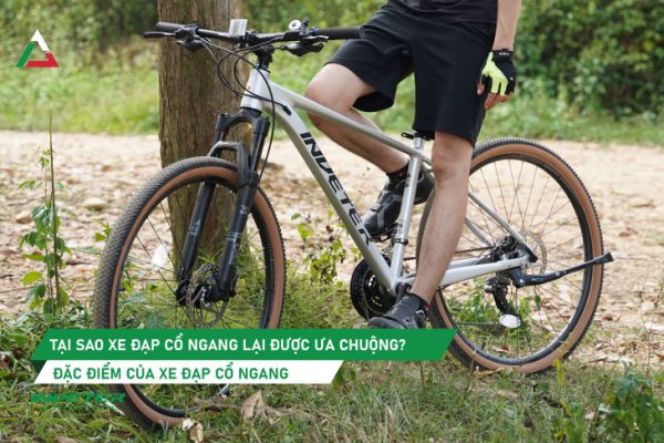 Tại sao xe đạp cổ ngang lại được ưa chuộng? Đặc điểm của xe đạp cổ ngang.